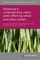 Advances in Understanding Insect Pests Affecting Wheat and Other Cereals