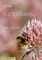 Bumblebees