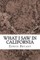 What I Saw In California