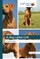 A dog called Colt