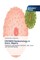HIV/AIDS Epidemiology in Kano, Nigeria