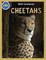 Cheetah Activity Workbook ages 4-8