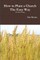 How to Plant a Church The Easy Way (No Such Thing)