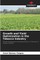 Growth and Yield Optimization in the Tobacco Industry
