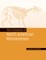 The Evolution of North American Rhinoceroses