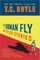 The Human Fly and Other Stories