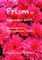 Prism 28 - September 2017