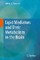 Lipid Mediators and Their Metabolism in the Brain