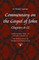 Commentary on the Gospel of John, Books 6-12