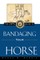 The Uspc Guide to Bandaging Your Horse