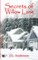 Secrets of Willow Lane