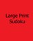 Moderate Large Print Sudoku