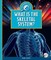 What Is the Skeletal System?