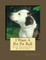 I Want A Pet Pit Bull