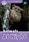 Read and Discover Level 4 Animals at Night