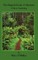 The Magical Forest of Aliveness