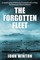 The Forgotten Fleet