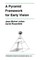 A Pyramid Framework for Early Vision