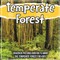 Temperate Forest