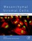 Mesenchymal Stromal Cells