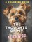 The Thoughts of My Yorkipoo
