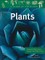 Plants: Flowering Plants, Ferns, Mosses, and Other Plants