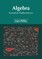 Algebra: Essential Mathematics