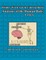 Whimsy Word Search, Anatomy of the Human Body, Letters