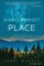A Once Perfect Place