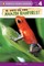 Life in the Amazon Rainforest