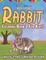 Rabbit Coloring Book 2 For Kids! A Unique Collection Of Coloring Pages For Children