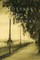 Odyssey of a Quiet Man