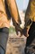Same-Sex Desire in Indian Culture