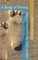 Footprints in the Sand