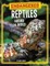Endangered Reptiles Around the World
