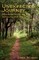 Unexpected Journey