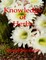 Knowledge of Herbs