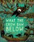 What the Crow Saw Below
