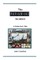 The Lockerbie Incident