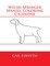 Welsh Springer Spaniel Coloring Calendar