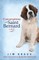 Conversations with Saint Bernard