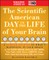 SciAm A Day in the Life of You