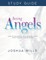 Seeing Angels Study Guide