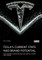 Tesla's current state and brand potential. How to derive a brand meaning and create a future that inspires