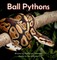 Anderson, J: Ball Pythons