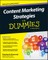 Content Marketing Strategies for Dummies