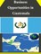 Business Opportunities in Guatemala