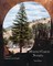 Mineral County Nevada Progress and People