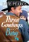 Three Cowboys and a Baby