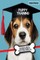 Puppy Training